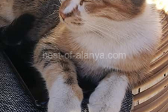 WhatsApp-Bild-2025-11-13-um-11.36.00_8331bbd2