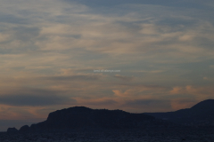 MG_1951