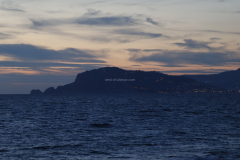 MG_2010