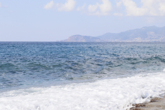 MG_2462