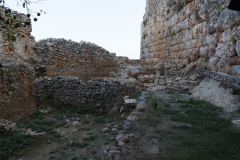 MG_2139
