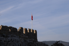 MG_2141
