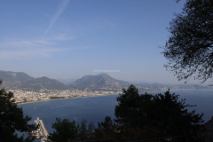 MG_2143
