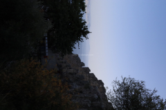 MG_2150