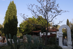 MG_2161