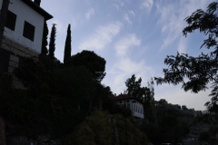 MG_2187