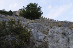 MG_2196