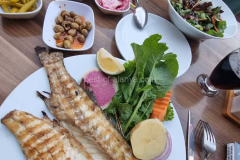 WhatsApp-Bild-2025-11-13-um-11.29.40_a73aadd7