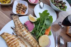 WhatsApp-Bild-2025-11-13-um-11.29.40_a73aadd7